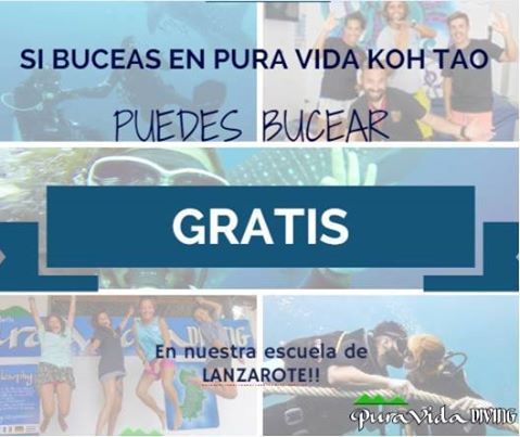 puravidadiving's tweet photo. Buceas en PURA VIDA Koh Tao Diving KOH TAO, Y te regalamos un buceo en la escuela de Pura Vida Lanzarote Diving!! https://t.co/U2YtY0l8Ii