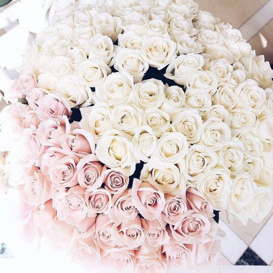 Para @NHoran_b 🌷

"Te mereces esto y mas mi bebé, te quiero mucho,ya sabes quien soy💕😂 ahveda"