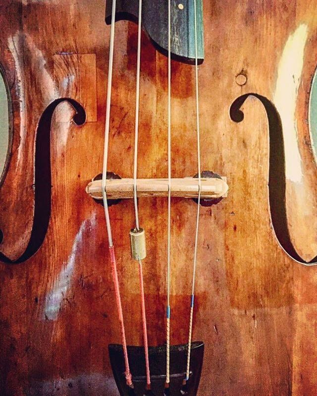 Can you guess the bassist who plays this beauty?