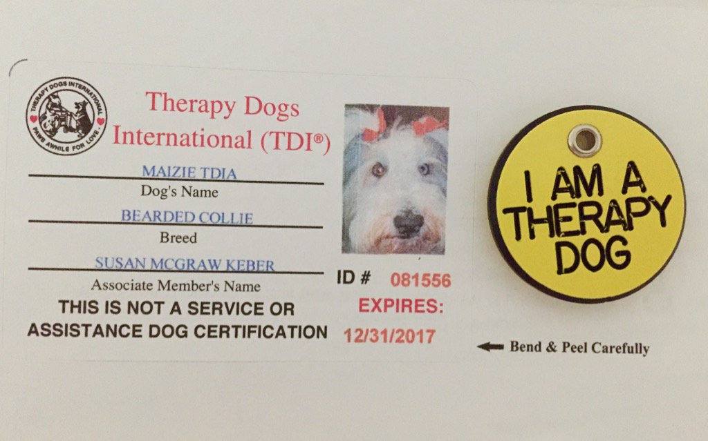 MaizieMcGraw's tweet photo. Thank you, #therapydogsint https://t.co/3PAxByn8lJ