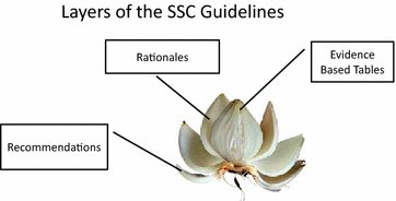 yourICM's tweet photo. The 2016 Surviving #Sepsis Guidelines have arrived! A remarkable document, all 74 pages with 655 references
https://t.co/l1h0wTi2eC  #SSC https://t.co/8urHgZPkmf