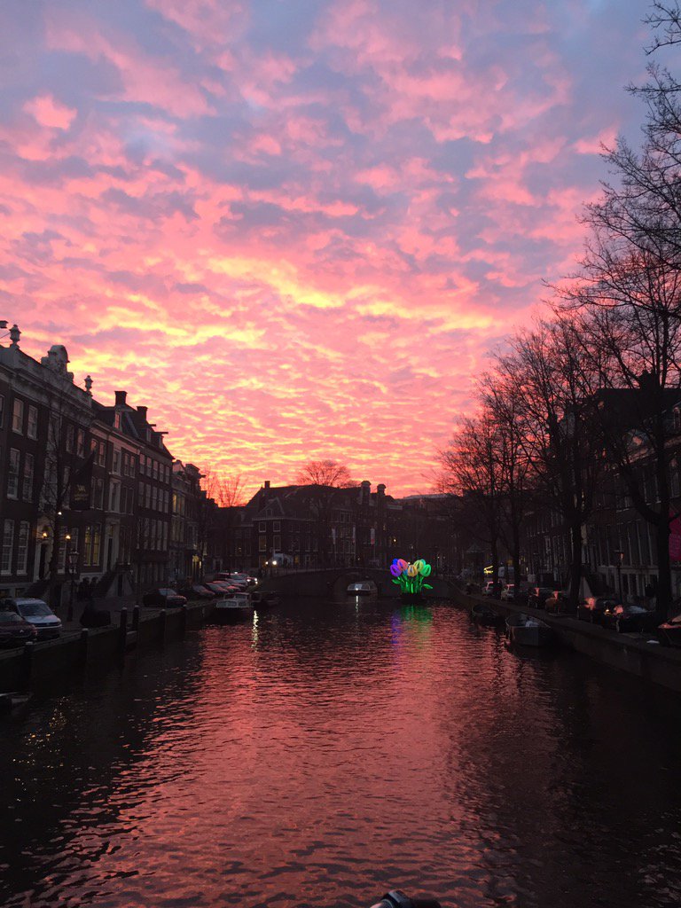 Theresa Loney tweet media