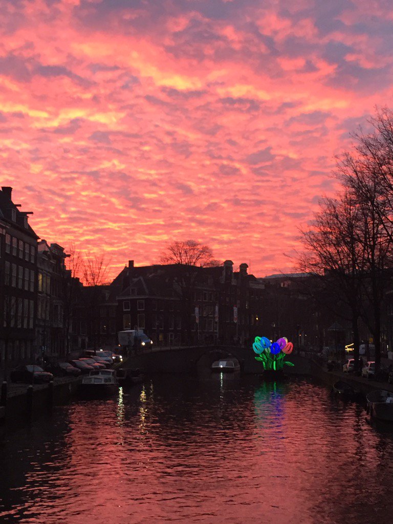 Theresa Loney tweet media