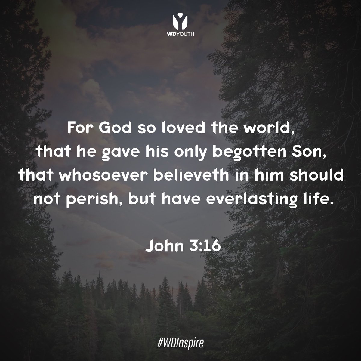 WDYouth's tweet photo. #WDInspire https://t.co/zV5lhucTJJ