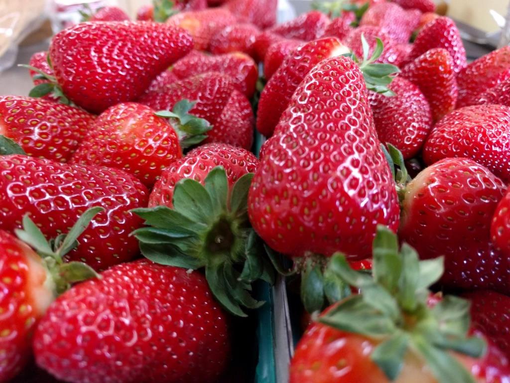 FarmstandWest's tweet photo. #Tangelos #strawberries #raspberries #passionfruit #avocados #Naveloranges #turnips #satsuma #local #rawhoney https://t.co/y1wcfKy84c https://t.co/j7bzIwTkIJ