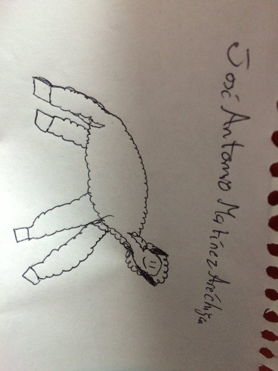 omar_cg27's tweet image. #HPCCM#DibujameUnaOvejita