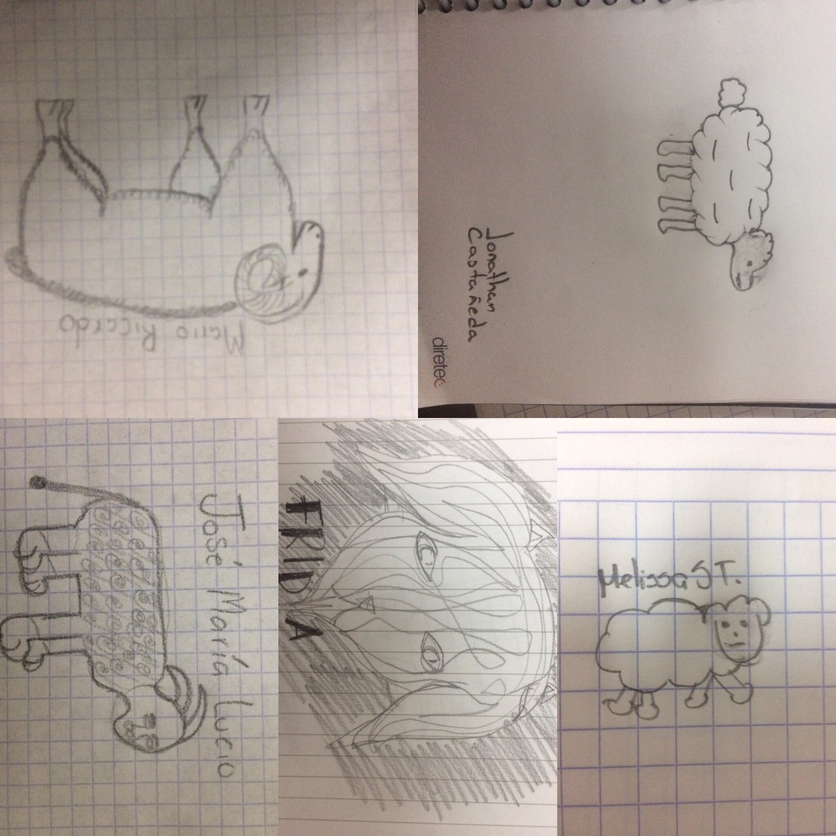 Melissantru's tweet image. #HPCCM #DibujameUnaOvejita