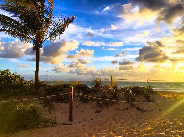 HurricaneBTW's tweet photo. Repost of this beautiful image by (Instagram) Lauderbabe https://t.co/GvOnxhwUQs