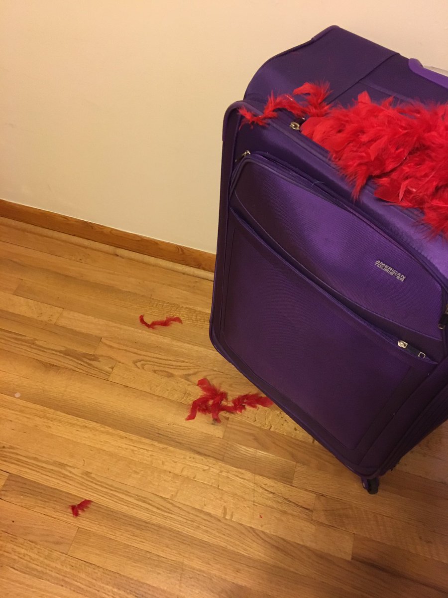 LaundryThief's tweet photo. I didn't do nuthin. https://t.co/SzJCeYaEFY