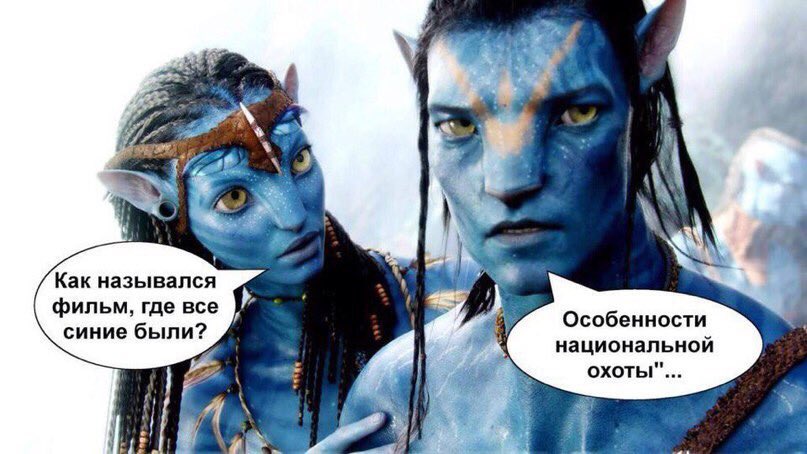 Денис Белый (@kareninov98) on Twitter photo 