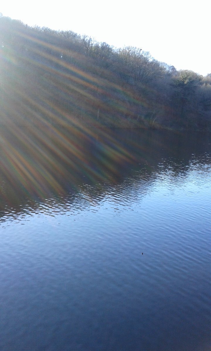 publicfishingfrance tweet media