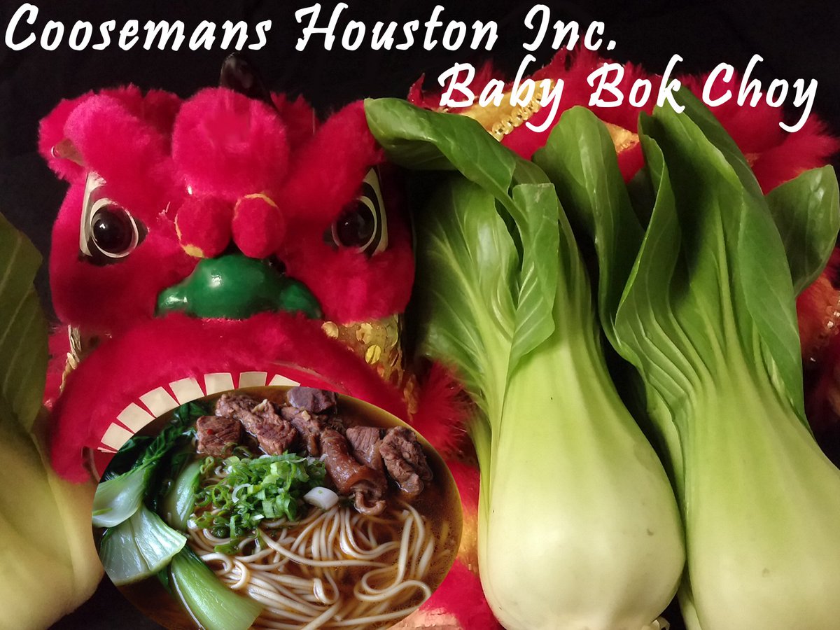CoosemansHoust1's tweet photo. Baby Bok Choy from Coosemans Houston #chinesenewyear #asianvegetable call 713-921-4701 https://t.co/7UPCF2Wkhv