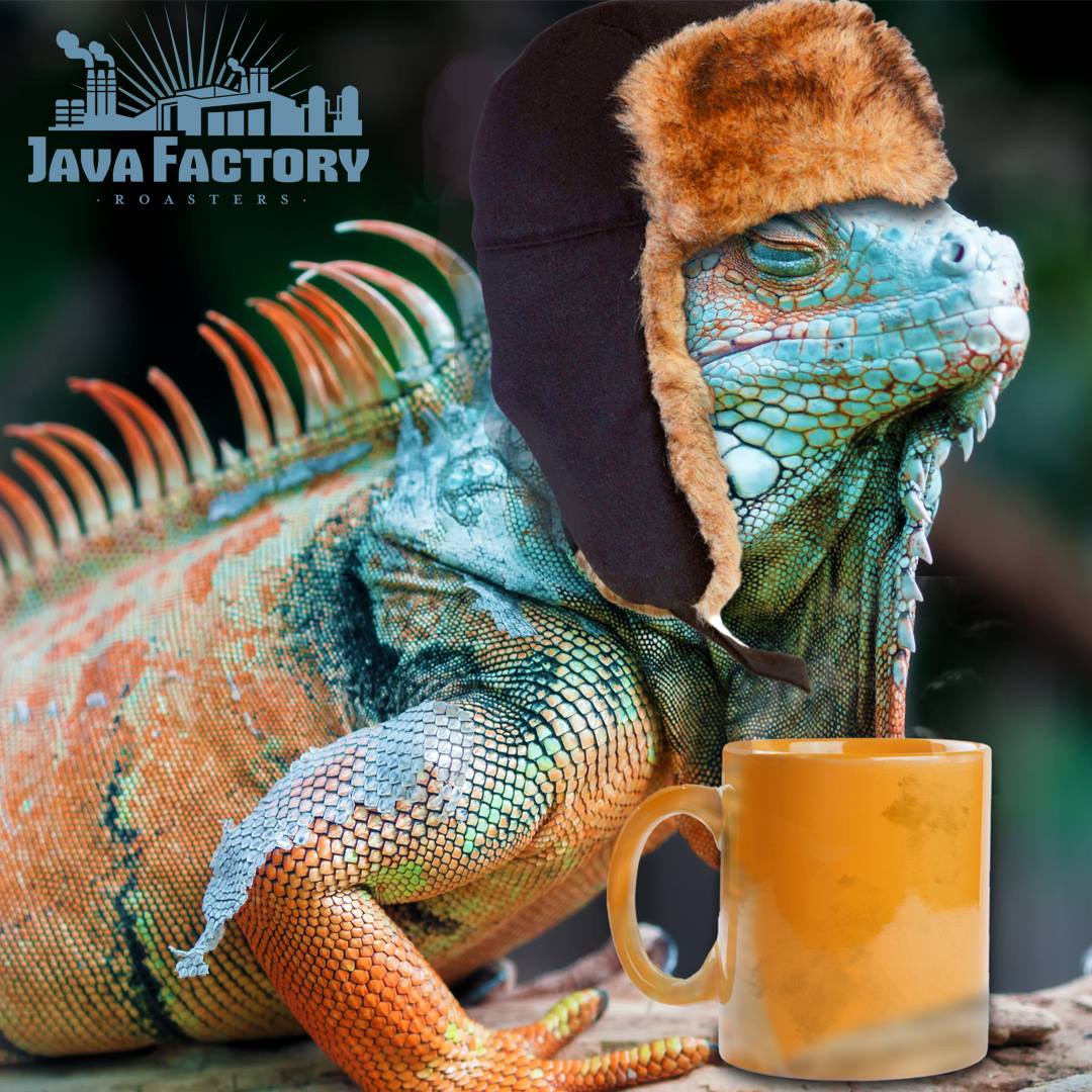 RichOnOWN's tweet image. Looking forward to sampling some @javafactory coffee for #Keurig! #javajunkies, #javafactory #javafactoryroasters