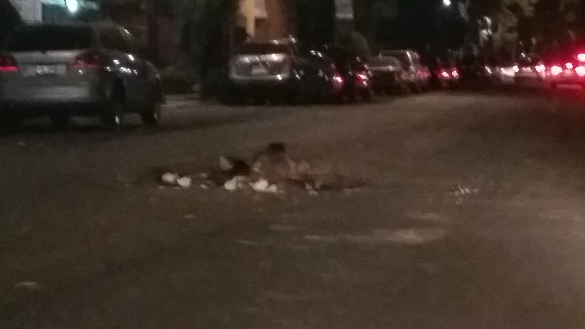 DF_delvalle's tweet photo. El costo de elegir a gobernantes negligentes @Cristianvonroe es que ponen trampas mortales en las calles. @velocipedocdmx @AdolfoPrietoVec https://t.co/JeuudW7n80