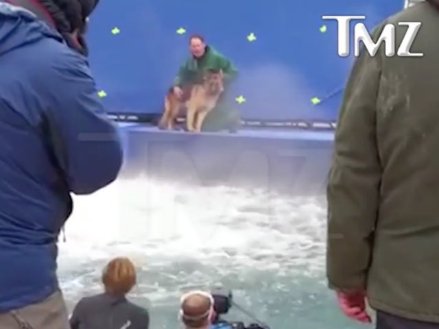 burntkiss's tweet photo. please do not support "a dogs purpose". ive been looking forward to seeing this movie but i refuse to condone dog abuse #boycottadogspurpose https://t.co/otRj81W8Ma