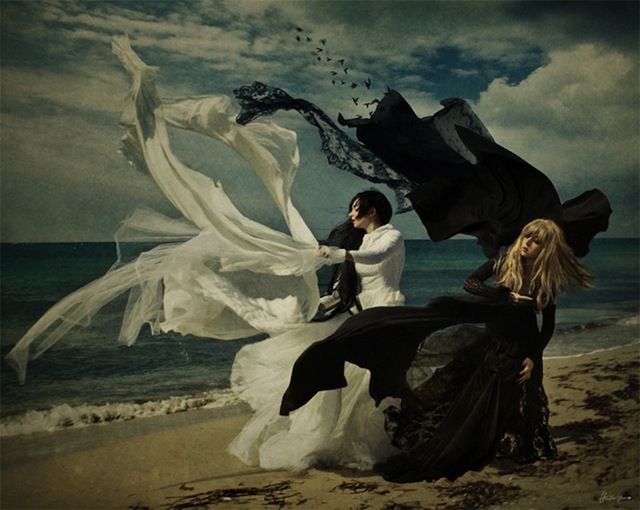 Novelicious tweet media