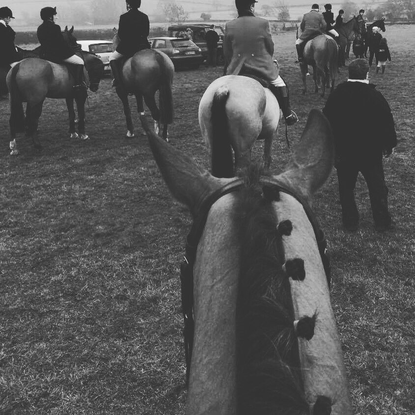IrishAgent's tweet photo. Hunting hunting hunting #posh hunters #Irish #Penhills #visitingonsat https://t.co/XuFSFdBLP4