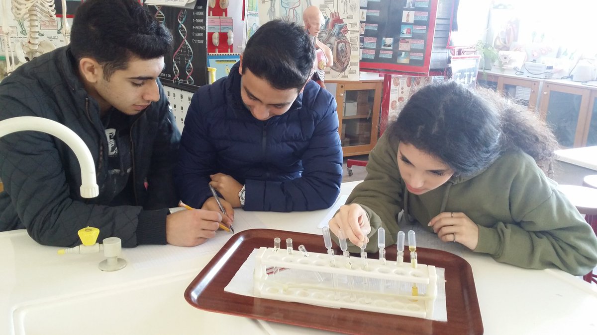 HibaBayoumi's tweet photo. 10 IP learners preparing and observing different ionic compounds @Hhhsinfo #chemistry #laboratory #manipulative_skills #quick_lab https://t.co/PUZNUbY98Q