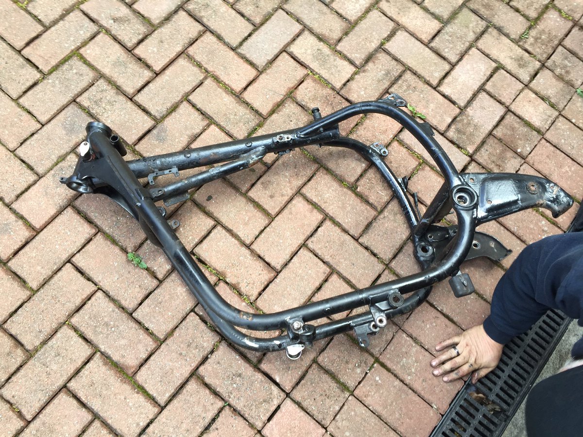 SCOTT BIDDLE tweet media