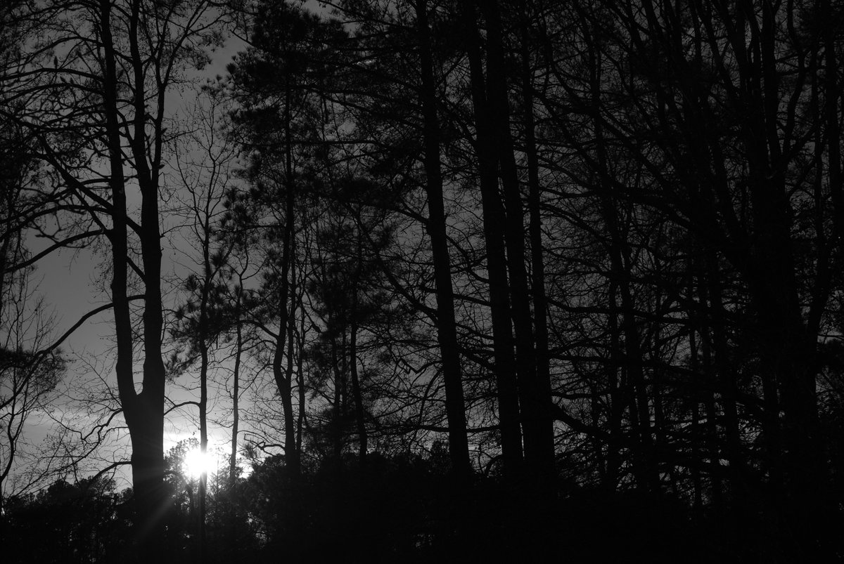wesrollins's tweet photo. Evening Sunset. 35mm1.8 #MilesHooks #blackandwhite #lowkey #light #photograghy #fotog https://t.co/fgfp2uBXou