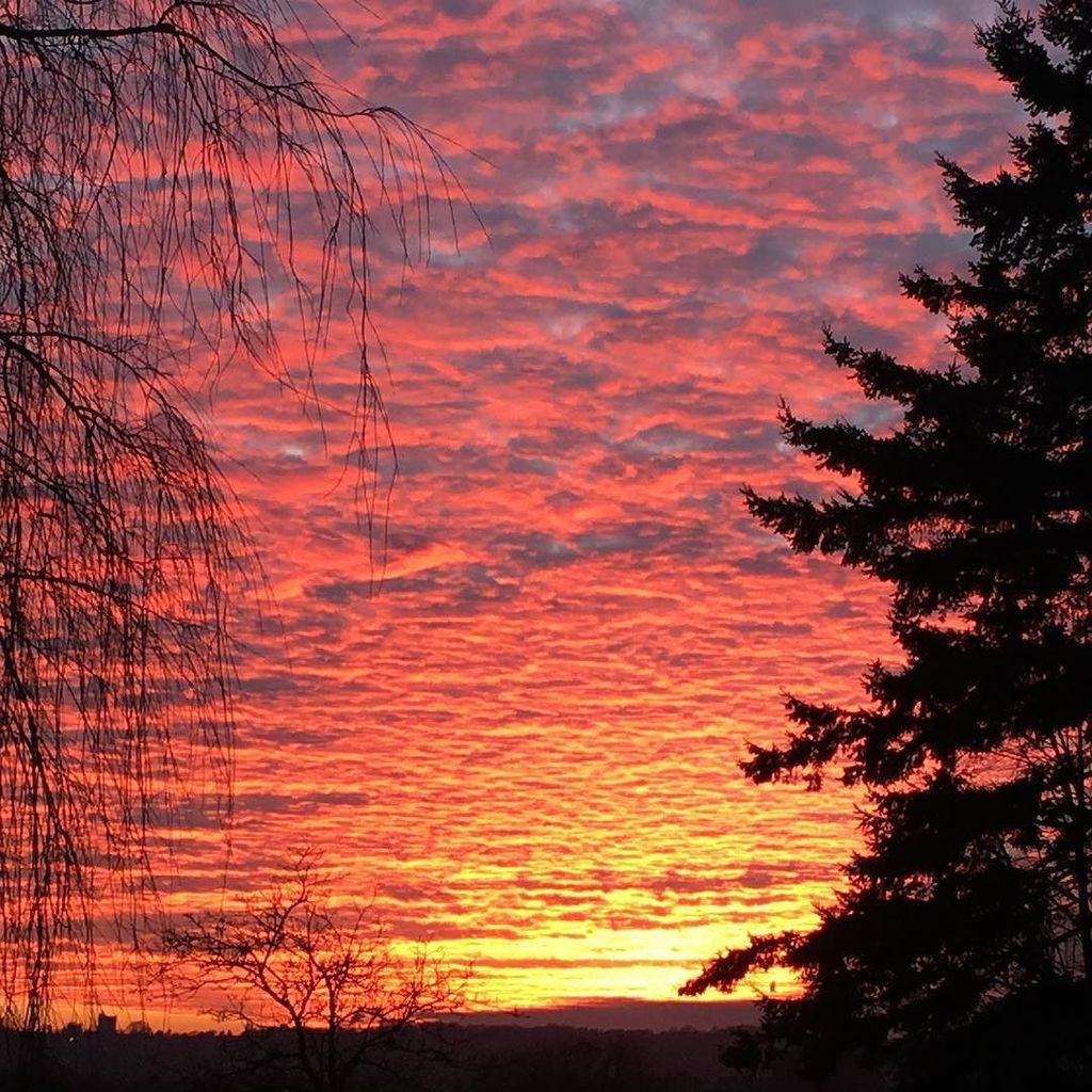 jobhopjulie's tweet photo. Stunning sky in Norfolk this evening #norfolk #norwich #vista #vistas #view #love #lovemyjob #nofilter #nofilternee… https://t.co/Bx4MY4mMDG