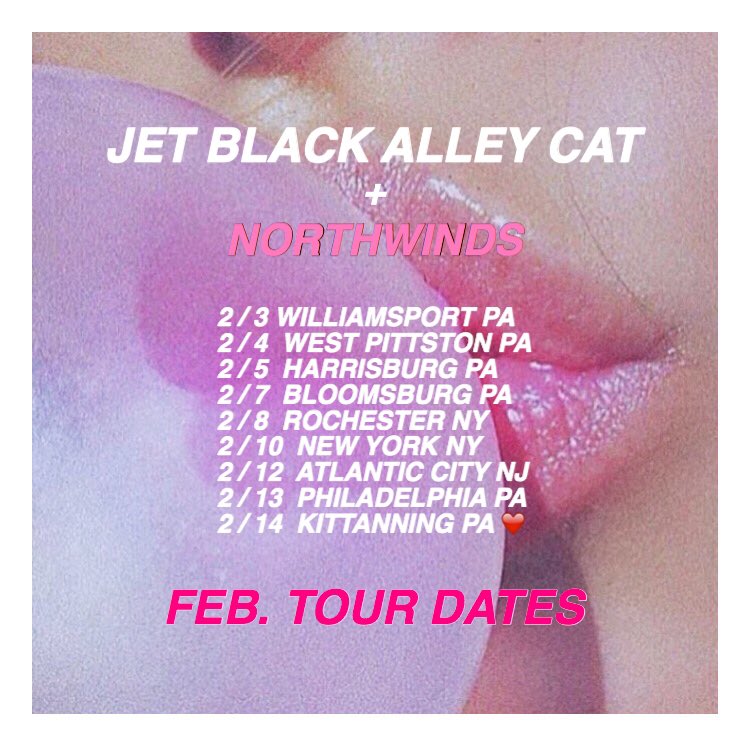 JBACmusic's tweet photo. ** ANNOUNCING : FEB. Northeast TOUR DATES . Find your city &amp; don't miss it 💋w / @northwinds570 https://t.co/Rl5G4FCtkH
