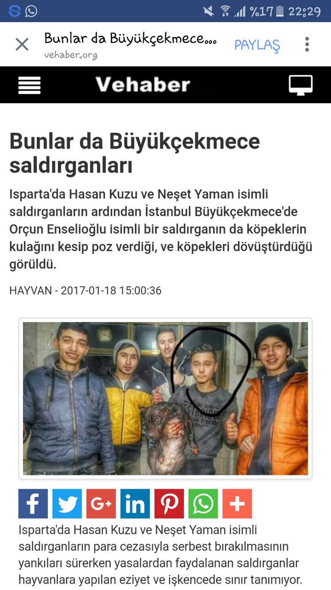 yagmur_sis's tweet photo. BÜYÜKÇEKMECE'NİN KÖPEK KATİLLERİ!!! LÜTFEN YAYALIM CEZALANMALILAR @olcaymeral @YoncaEvcimik @Reyhan_Karaca @zulall_ @okanoflaz https://t.co/tyI4aIYesE
