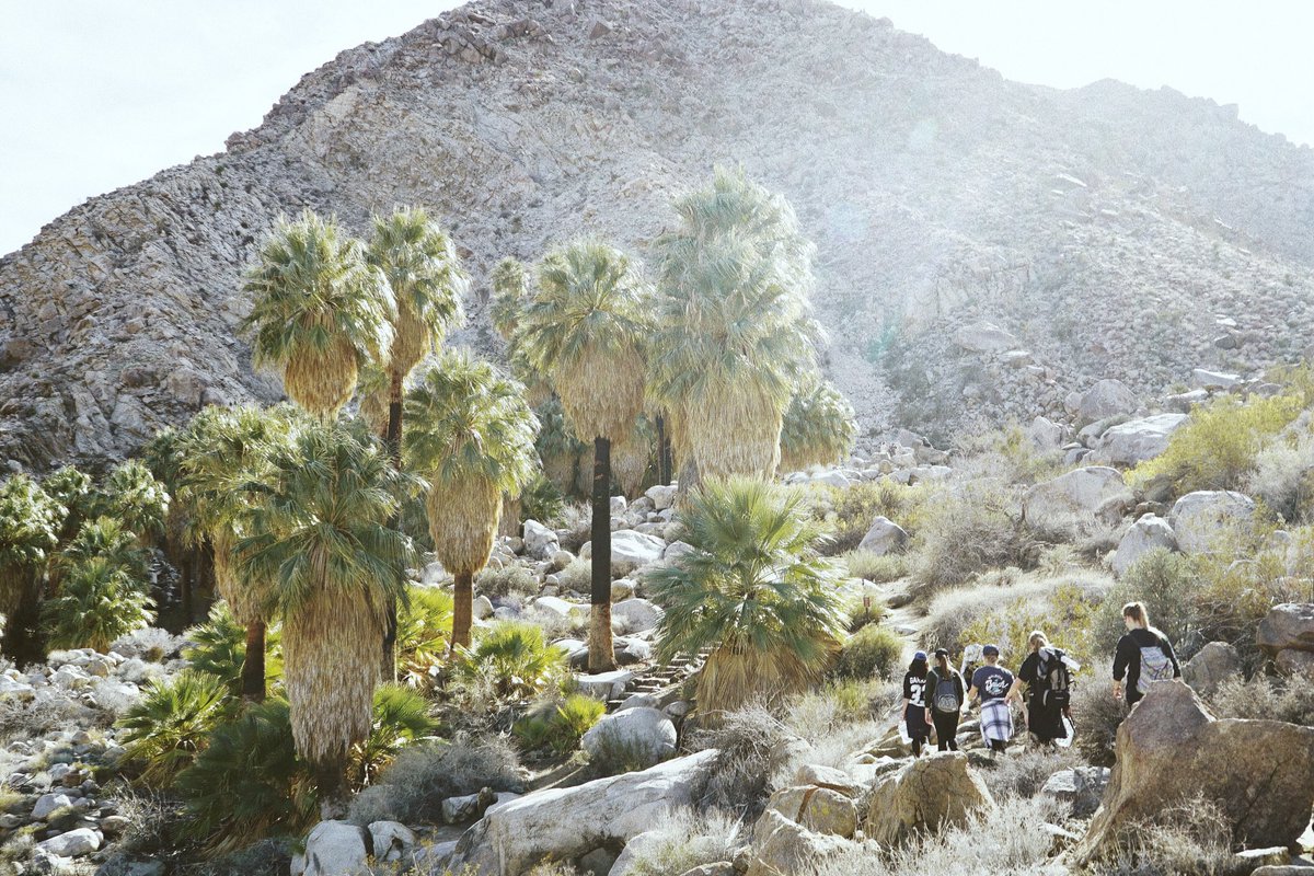 murphy_stude's tweet photo. Photos from Joshua Tree this past weekend - it was freezing cold, folks https://t.co/dAqhjtwNpT