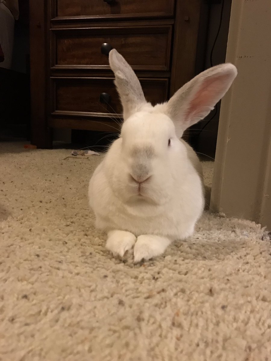 Feed me banana and tell me I'm pretty