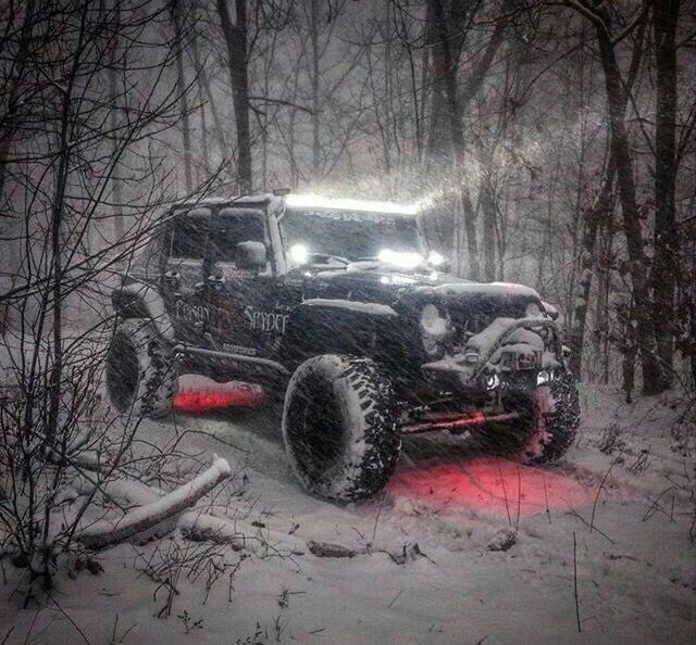 Winter crawler. ❄❄❄