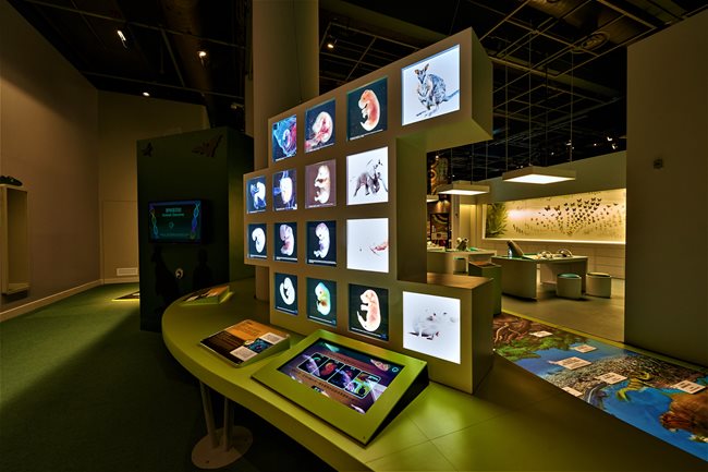 "People of all ages from all over the world" will experience CMRI embryology photos at Hong Kong Science Museum bit.ly/2iKL6ej