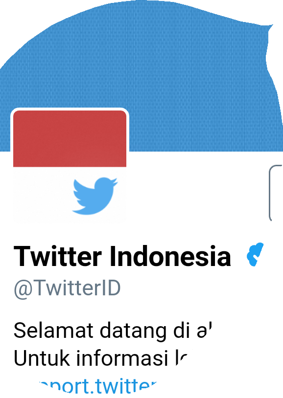 lon3cat's tweet photo. Pak tito adalagi nih putihnya digambarin burung proses ya #AhokerPanik  #TwitterIDNotSafe https://t.co/1v8mDCYlcU