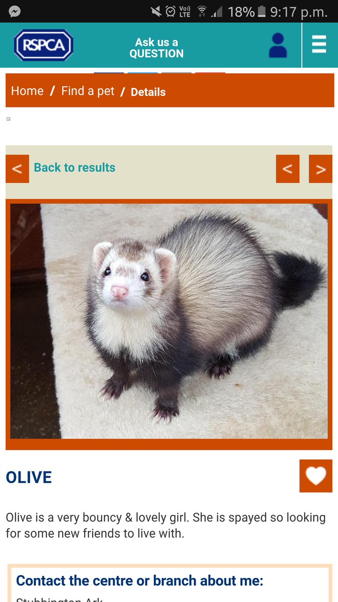 CoreyLR's tweet image. Can I have her now though. Why you so far away 😢