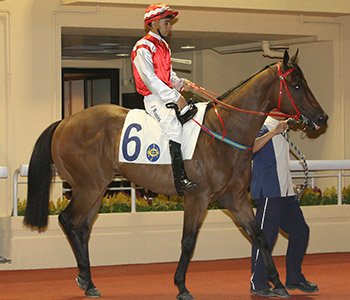 vicbreeders tweet picture