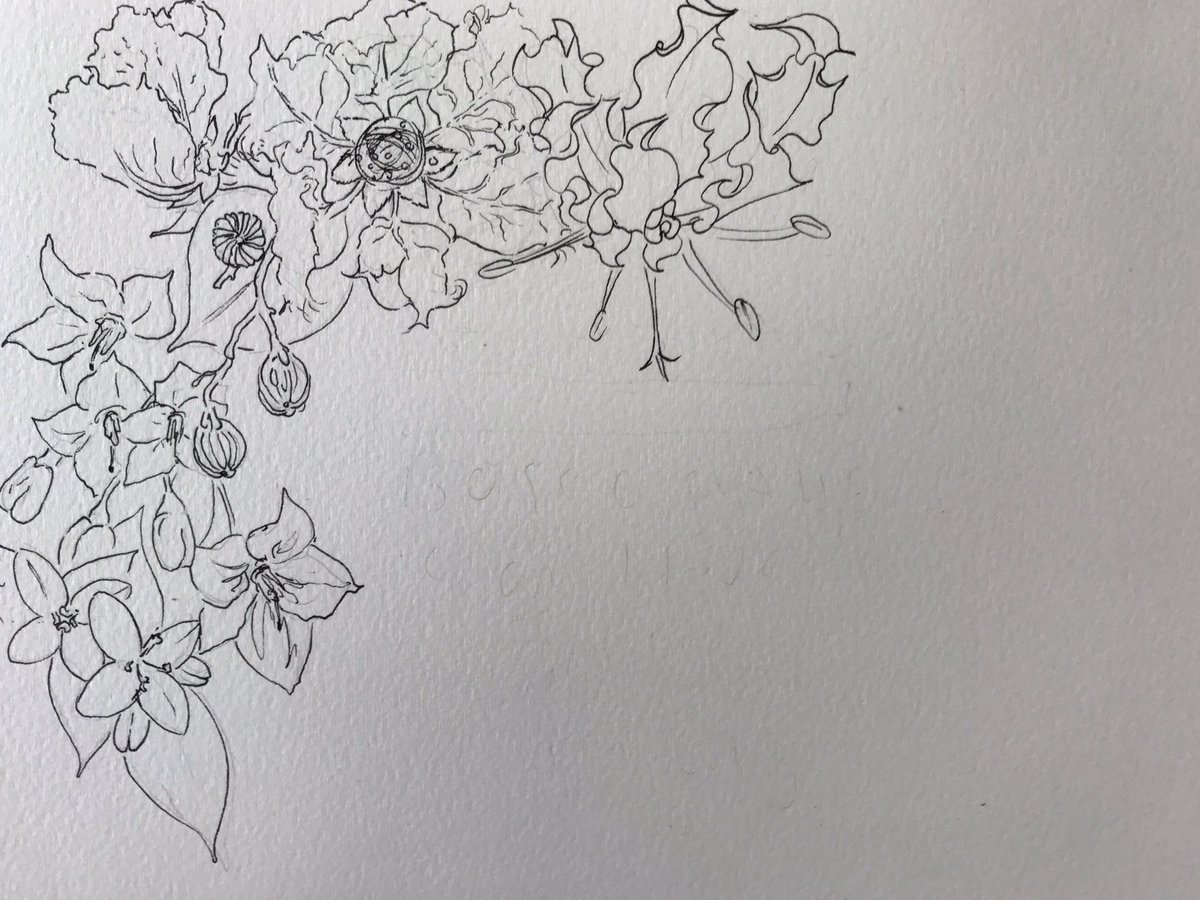 LittleRabbitArt's tweet photo. No better way to celebrate new babies than with #art ❤️👶🏽 https://t.co/WKhWmXBCFe