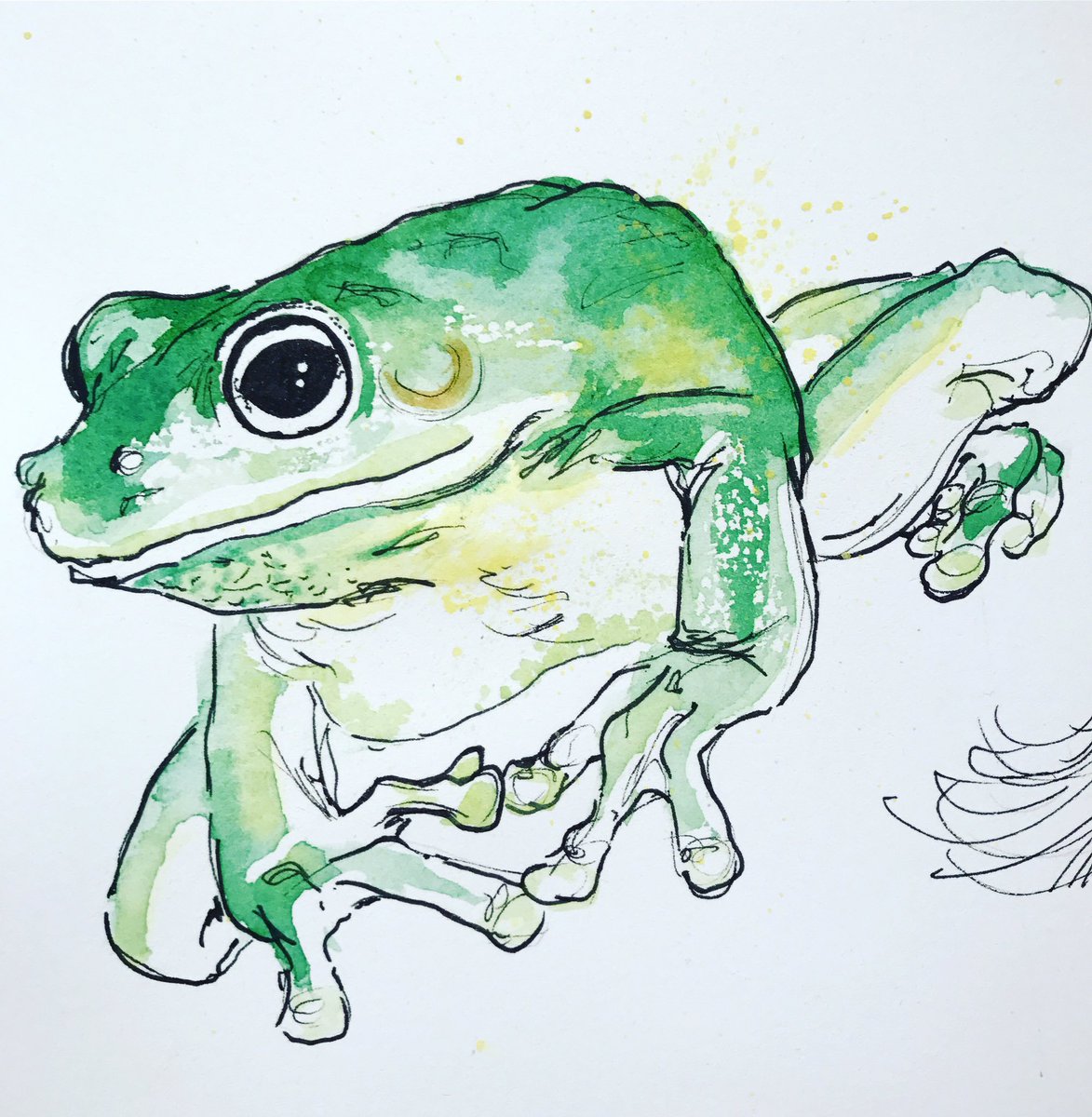 LittleRabbitArt's tweet photo. Frog now with colour #painting #art https://t.co/EDHfZ0Fvko