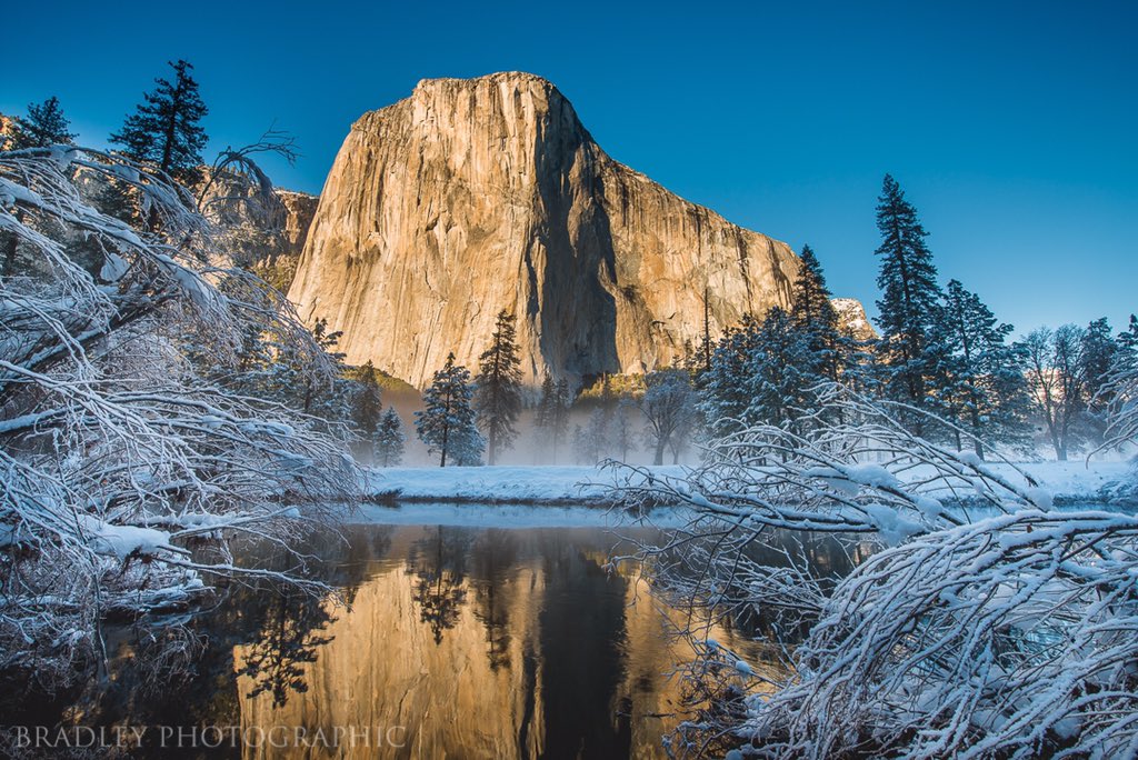 BrdlyPhoto's tweet photo. Please enjoy this never before photographed thing I found in Yosemite National Park this last weekend. #yosemite #nature #nationalpark https://t.co/p4yRcFlJ2i
