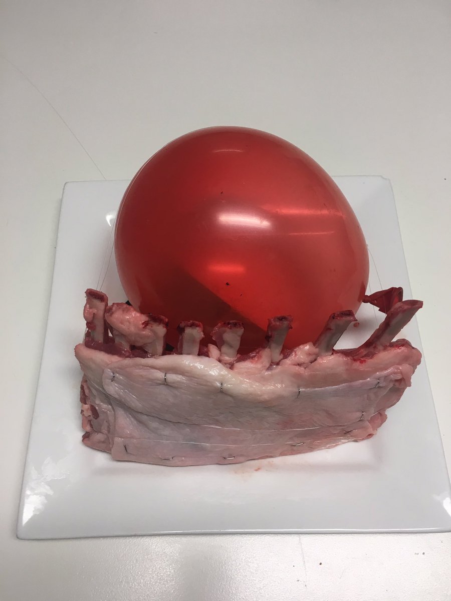 FatamboGary's tweet photo. $10 Thoracostomy trainer. Some chicken skin stapled to lamb ribs. @tingles005 @ketaminh @craigwylie @RSIreid https://t.co/vBJVTuS5G9