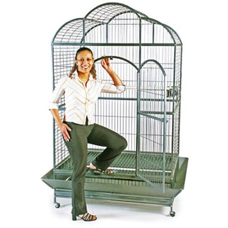 Get an extra-roomy cage for your feathered friend! Visit NexTag for deals on birdcages. next.ag/2je1Tdw #parrots #pets #birdcage