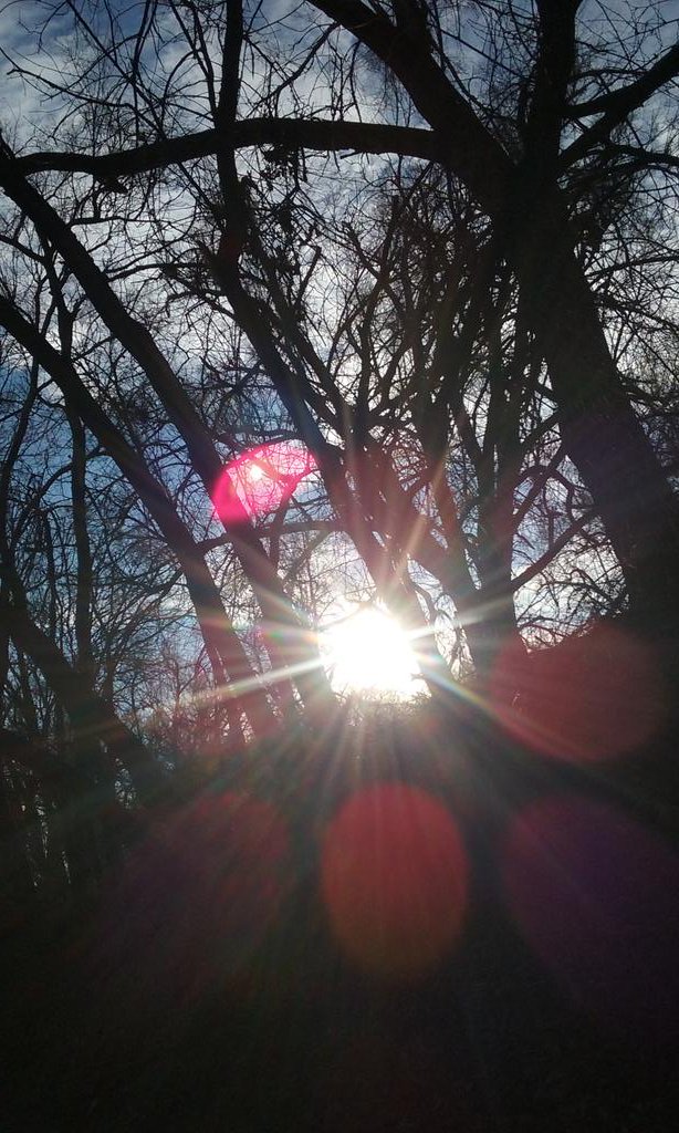 || This lens flare :^>