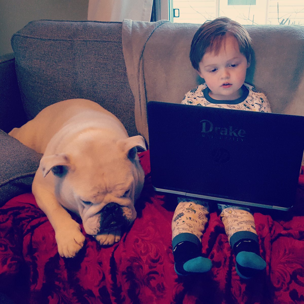 MagooCrew's tweet photo. What is love? Love is sitting with your face next to a kid that has been puking all afternoon. I sure do love you, Carter-man... https://t.co/UZlNMHRUTZ