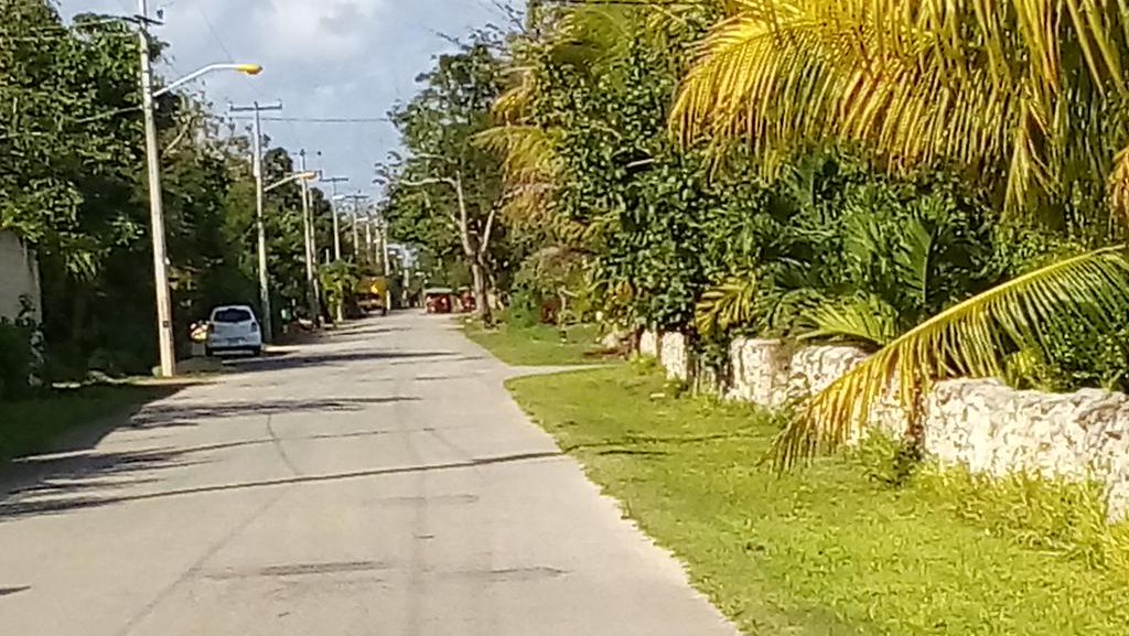 <a href="/SECTUR_mx/">SECTUR México</a> #TurismoSustentable <a href="/QuintanaROOTuri/">Quintana ROO Turismo</a> #TuristasBelgas en #LeonaVicario <a href="/PtoMorelosAyto/">Ayto. Puerto Morelos</a> @LFpuertomorelos