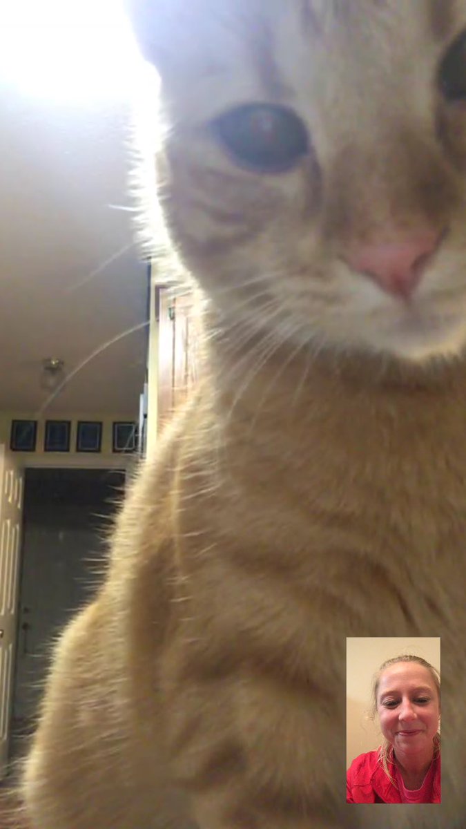 ambaucom's tweet photo. Face timing the family be like ... 😂 https://t.co/U6fdhQVXqY