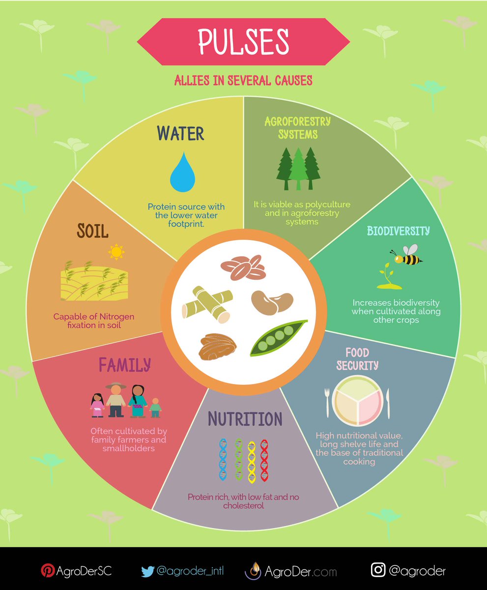 AgroDer_Intl's tweet photo. #Pulses provide multiple benefits while facing several challenges: #FoodSecurity, #Health, #ClimateChange, #WaterFootprint. #GlobalPulseDay https://t.co/hJPWUV25vv