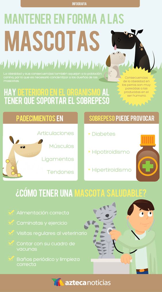 mundocan's tweet photo. Mantener saludable a tu amigo canino, nunca fue tan fácil: https://t.co/pBDsesDttL