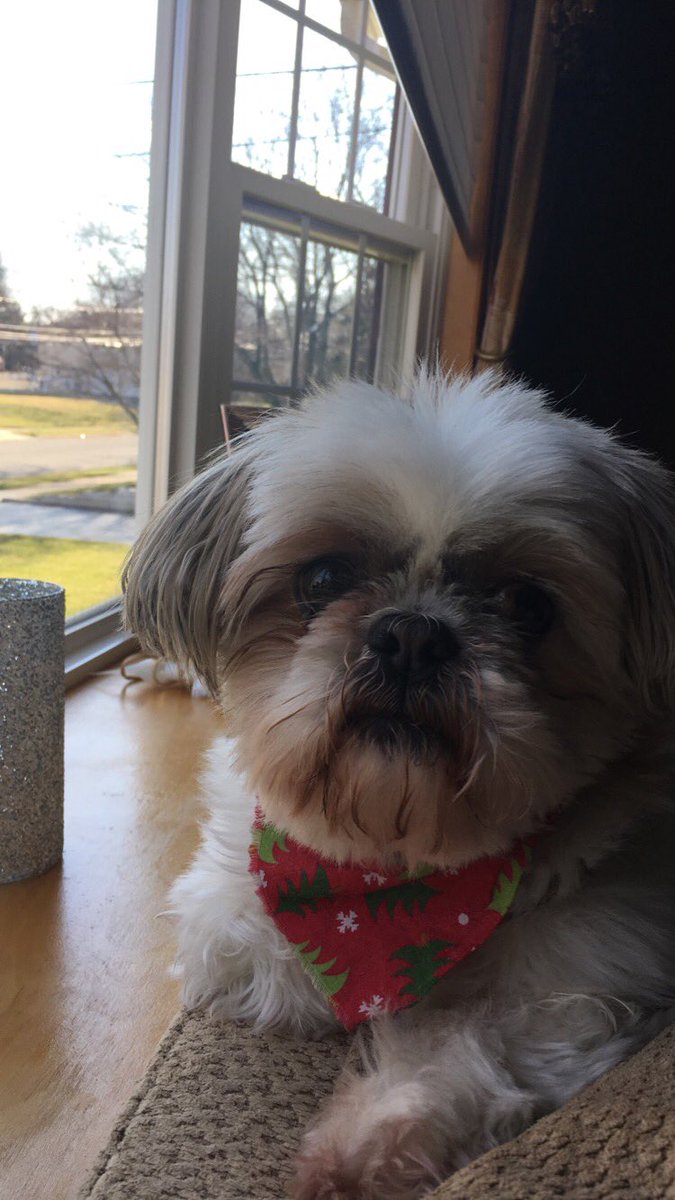 McanuffCaleigh's tweet photo. I would never let Lennie pet my dog🚫🐶 https://t.co/0FJgtEyTuX