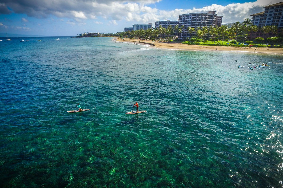 Tour the Pacific Ocean on a SUP board! Schedule a SUP lesson today! #maui #kaanapalisurf #supmaui
