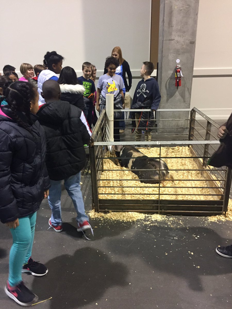 MrsBennett512's tweet photo. Ss learning where their food comes from! Loved the engagement and the thoughtful questions! #sliceofag @ApacheIS512 https://t.co/lMy9FsFk2Y