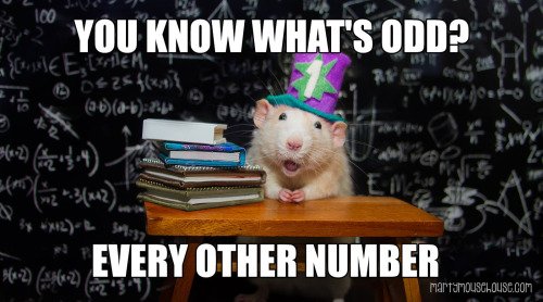 punbasedhumor's tweet photo. #puns #punbasedhumor https://t.co/UxnslrQZy2