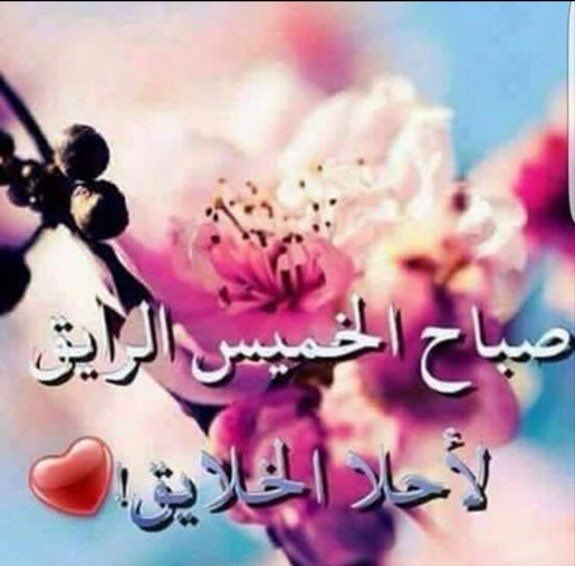 mahz___1's tweet image. تشرق شمس الصباح بأمنيات القلب ودعوات بالحب والرضا والسعادة
اللهم تمم أيام العمر بطاعتك ورضاك
وأسعد قلوبنا بذكرك .
.
صبآح الخميس الرايق ❤😍💐